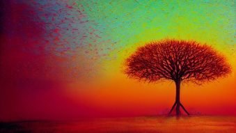 Cum să lucrezi în Canva