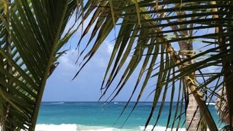 Curs Reiki in limba romana – Nivel 1,2, Master